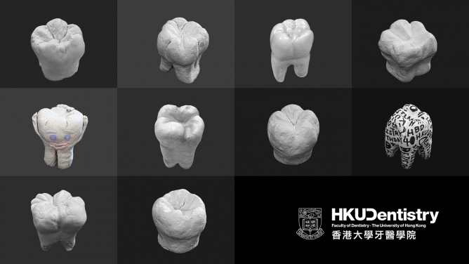 網上學習牙科的科學、藝術與科技
中學生用黏土創作臼齒模型 – 首十名最佳作品